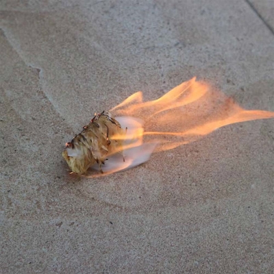 Paraffin Wood Firelighter cho BBQ Charcoal Igniters Đốt bông gỗ Đốt lửa